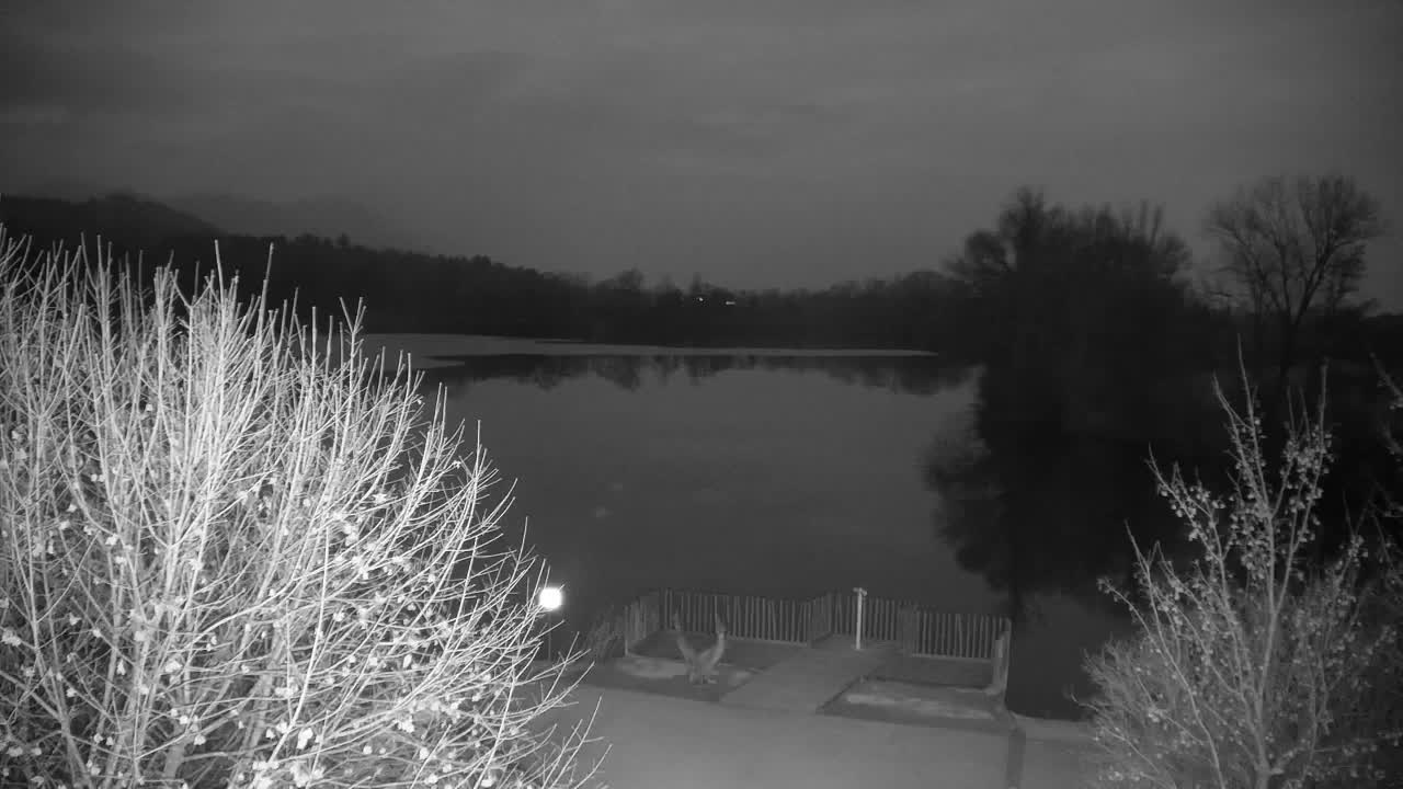 Webcam Ribnik Vrbje – Žalec