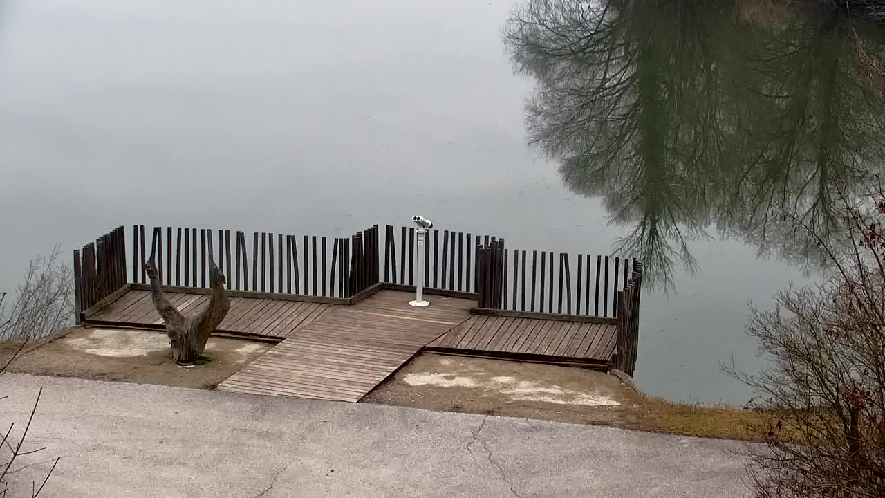 Webcam Ribnik Vrbje – Žalec