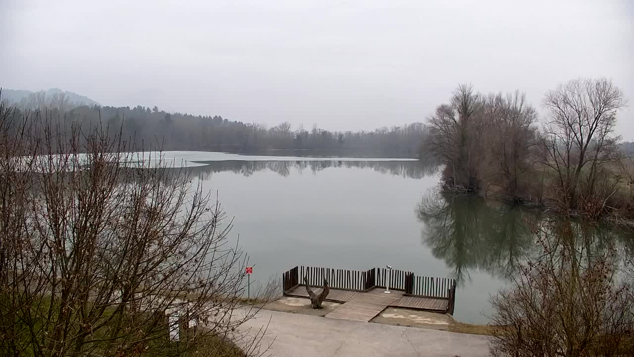 Spletna kamera Ribnik Vrbje – Žalec