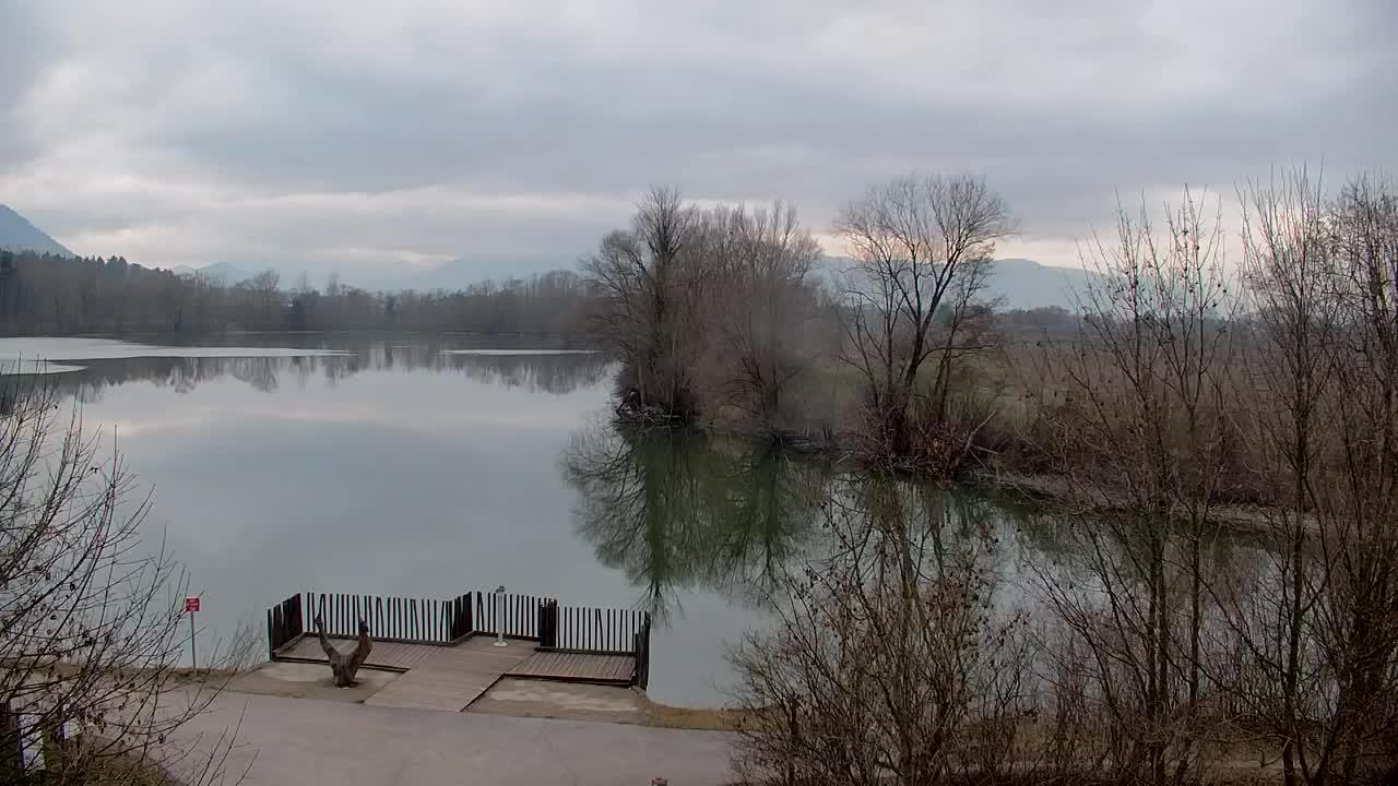 Webcam Ribnik Vrbje – Žalec