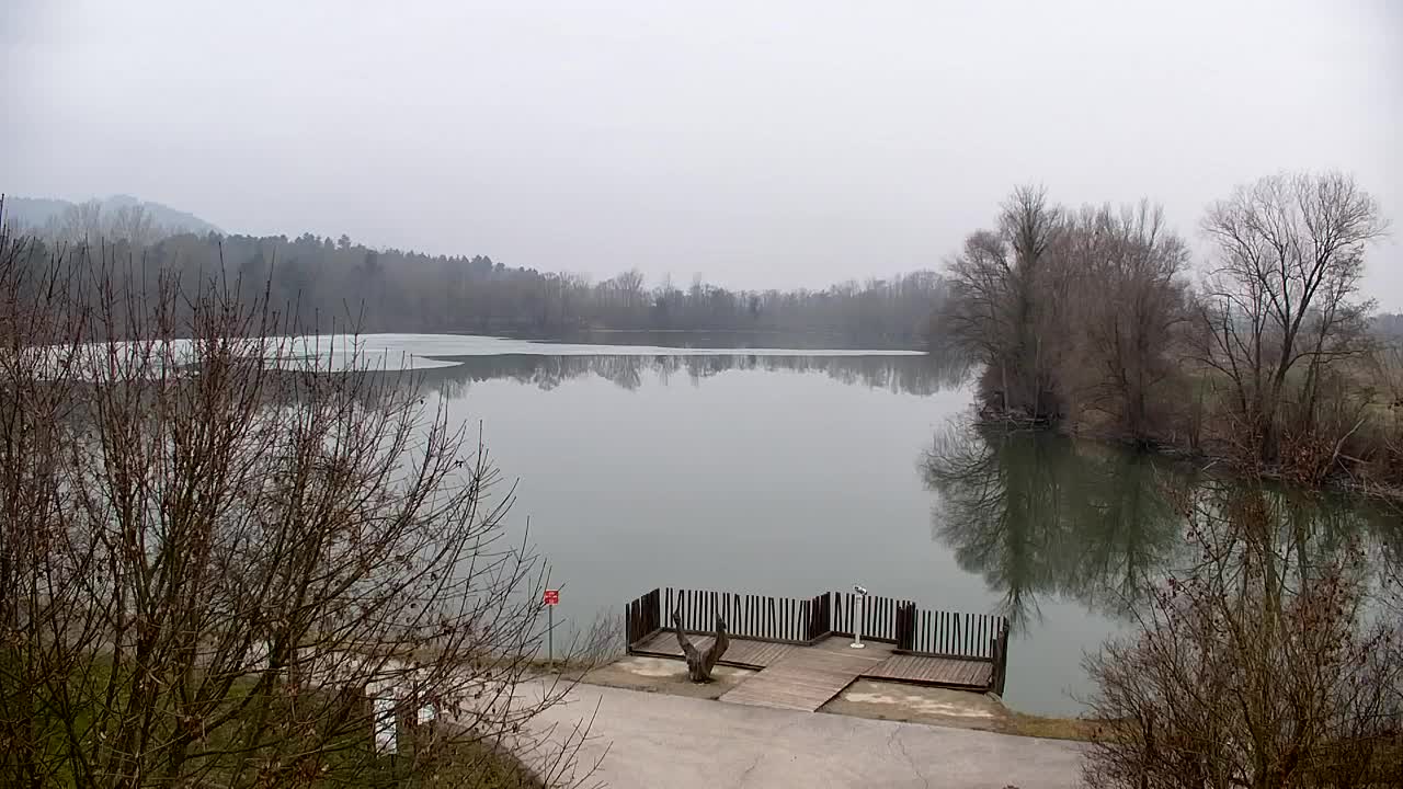 Webcam Ribnik Vrbje – Žalec