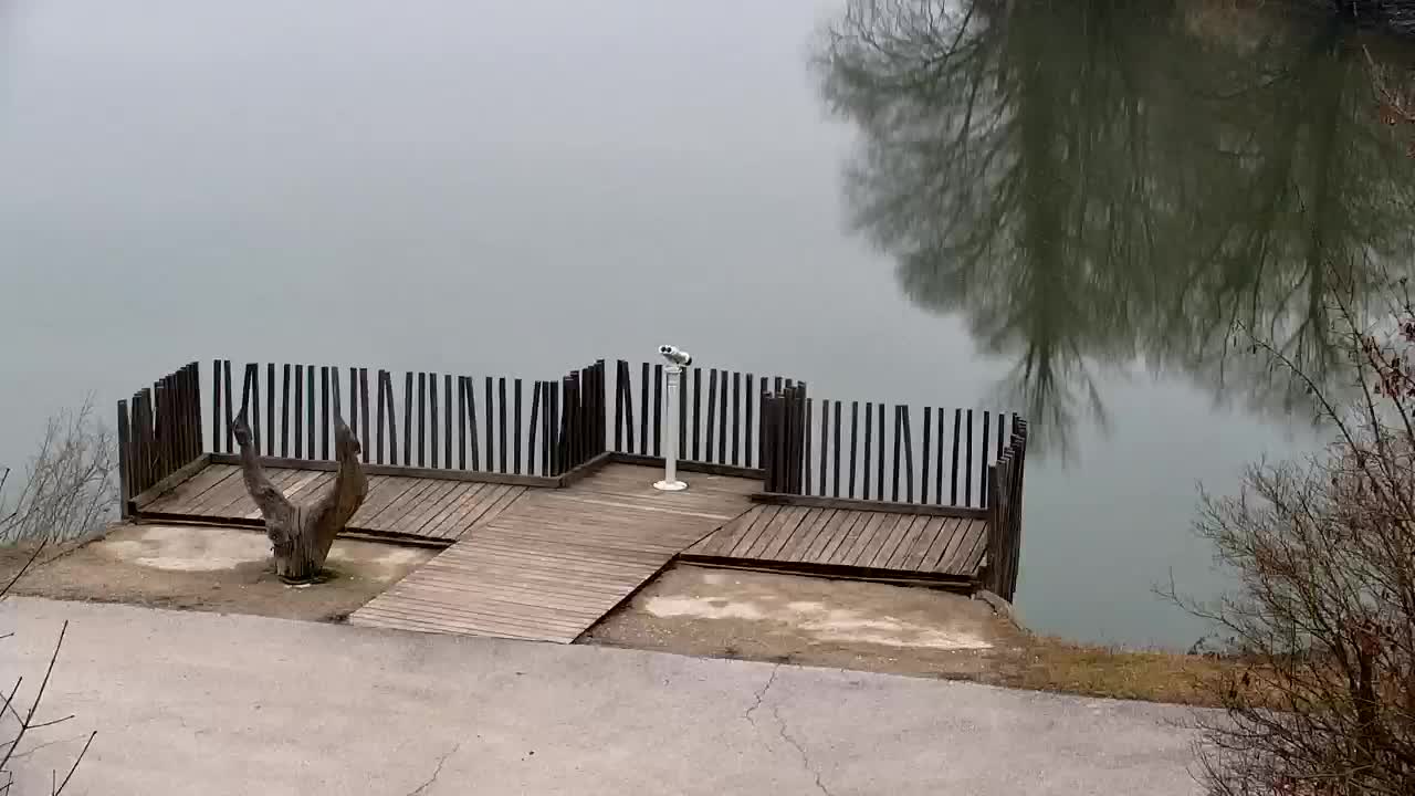 Webcam Ribnik Vrbje – Žalec