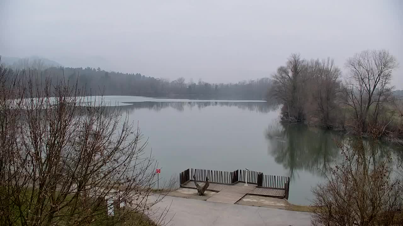 Webcam Ribnik Vrbje – Žalec