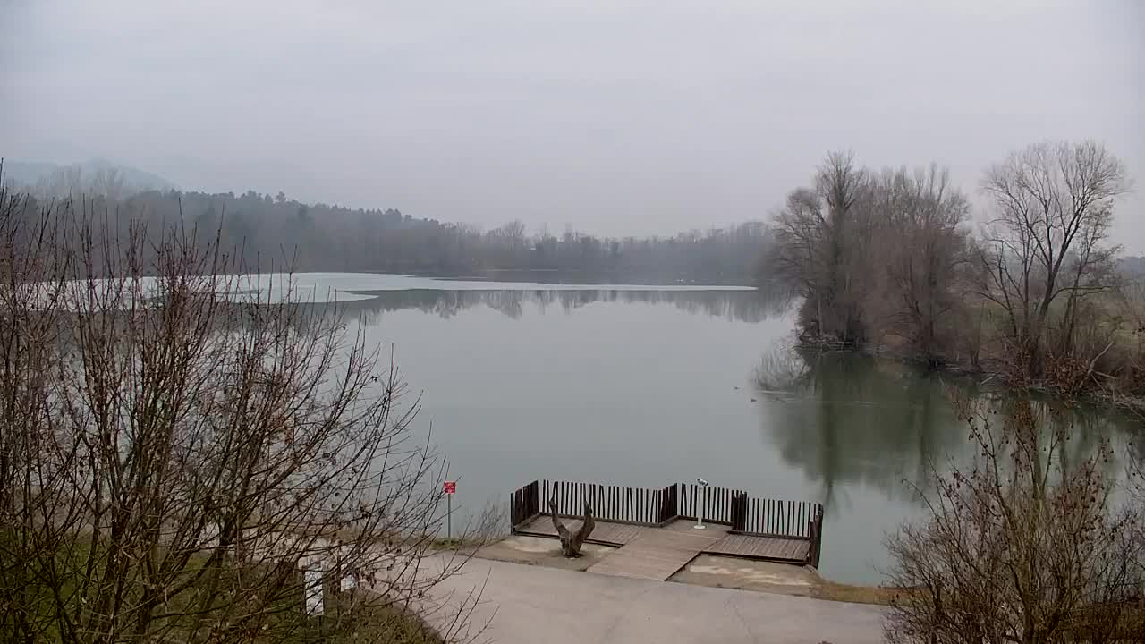 Webcam Ribnik Vrbje – Žalec