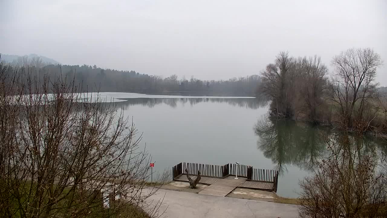 Webcam Ribnik Vrbje – Žalec