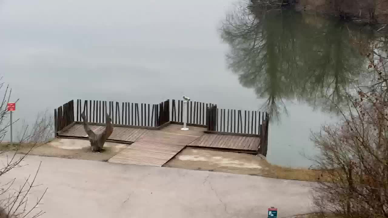 Webcam Ribnik Vrbje – Žalec