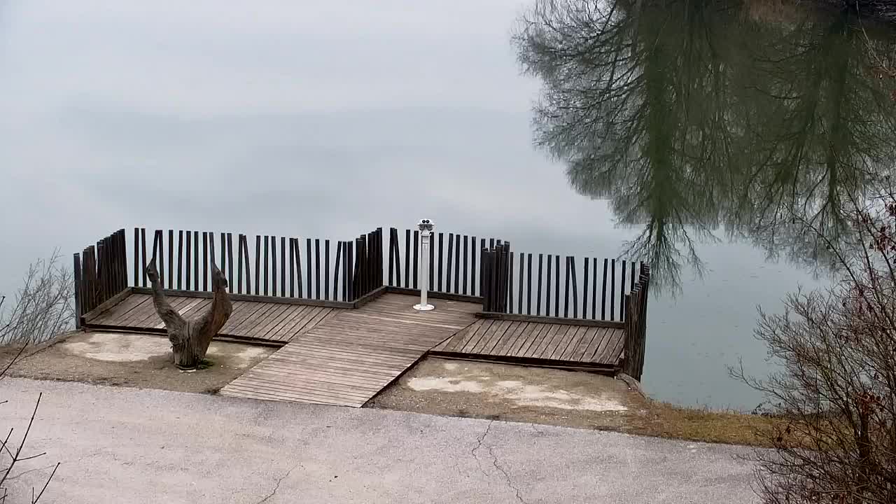 Spletna kamera Ribnik Vrbje – Žalec