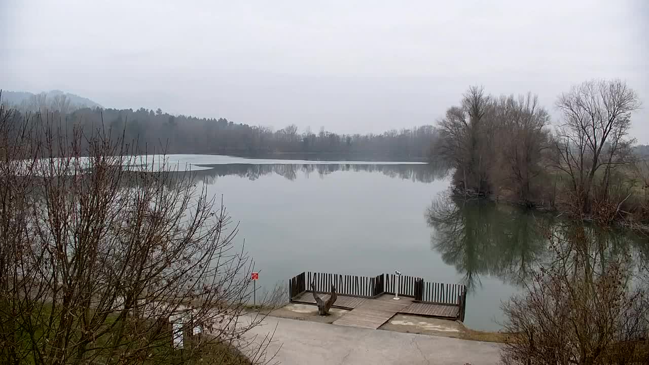 Webcam Ribnik Vrbje – Žalec