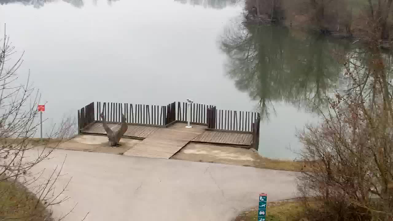 Webcam Ribnik Vrbje – Žalec