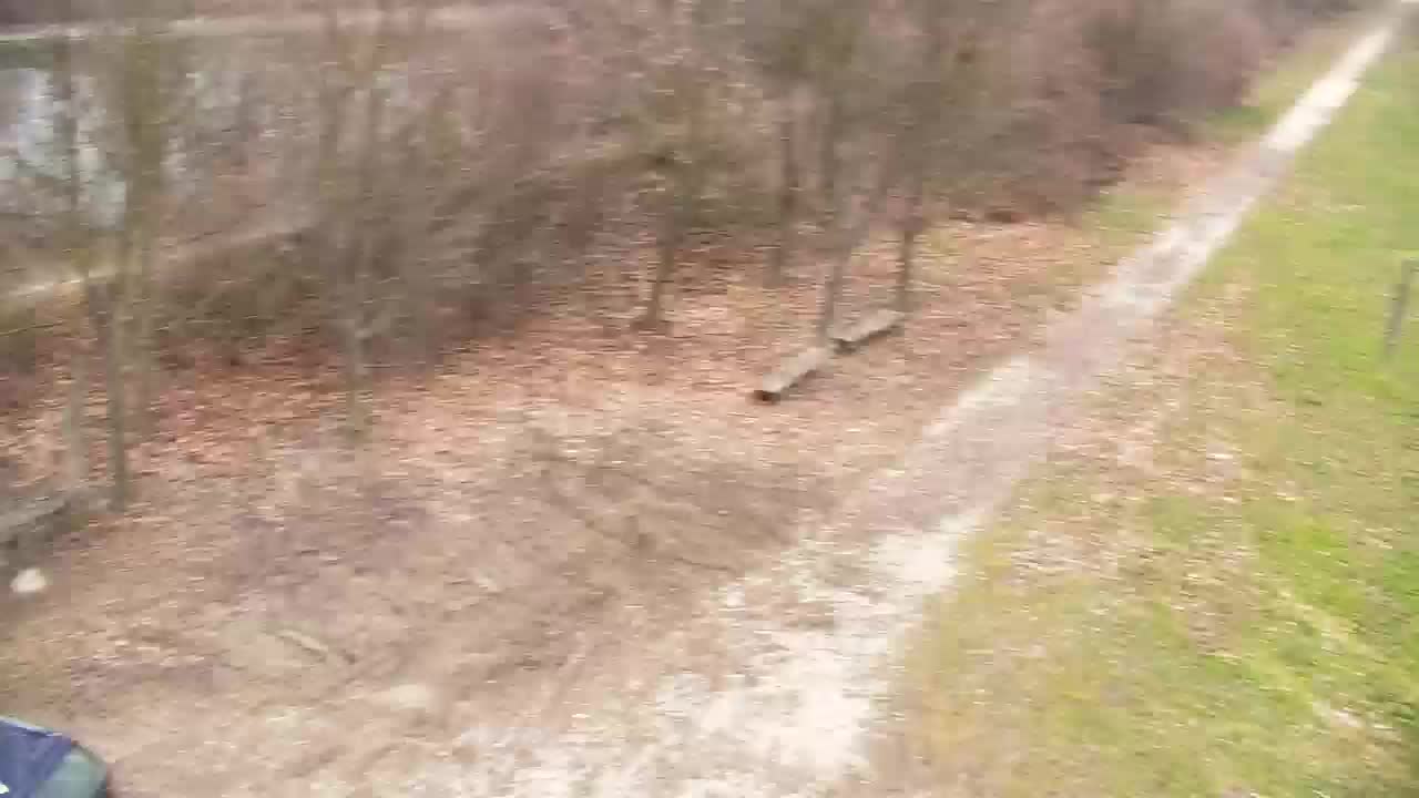 Webcam Ribnik Vrbje – Žalec