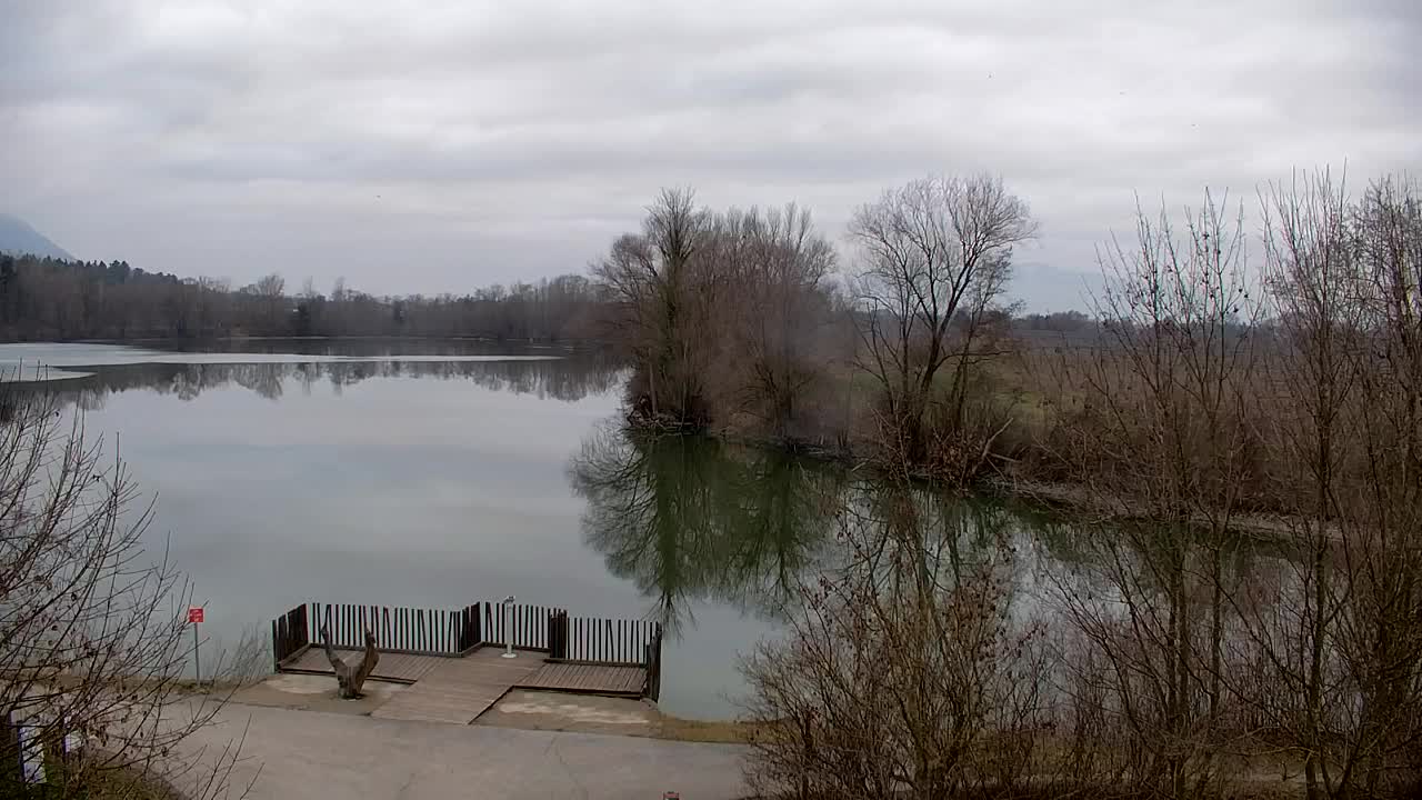 Webcam Ribnik Vrbje – Žalec