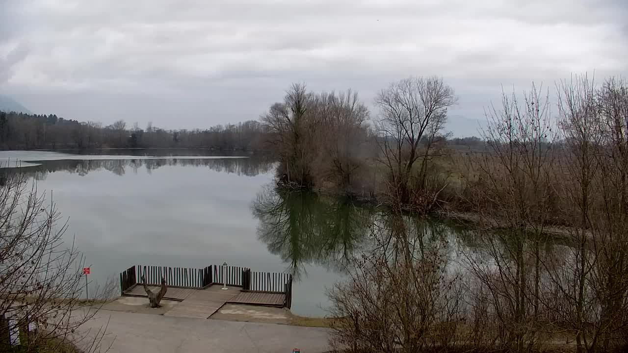 Webcam Ribnik Vrbje – Žalec