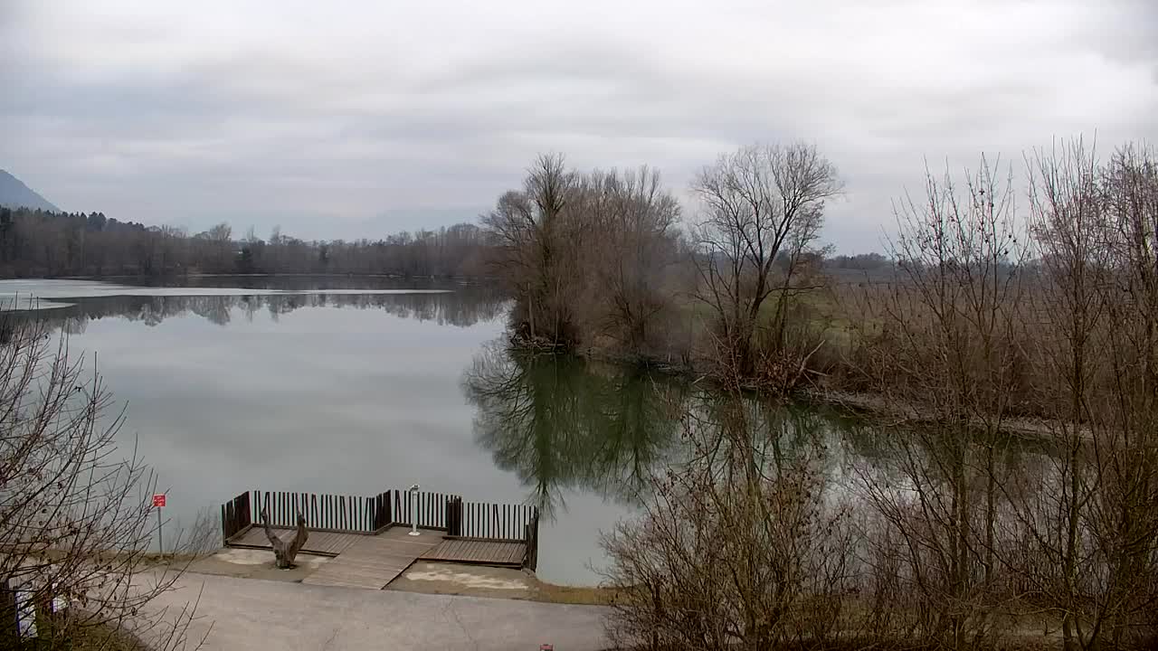 Webcam Ribnik Vrbje – Žalec