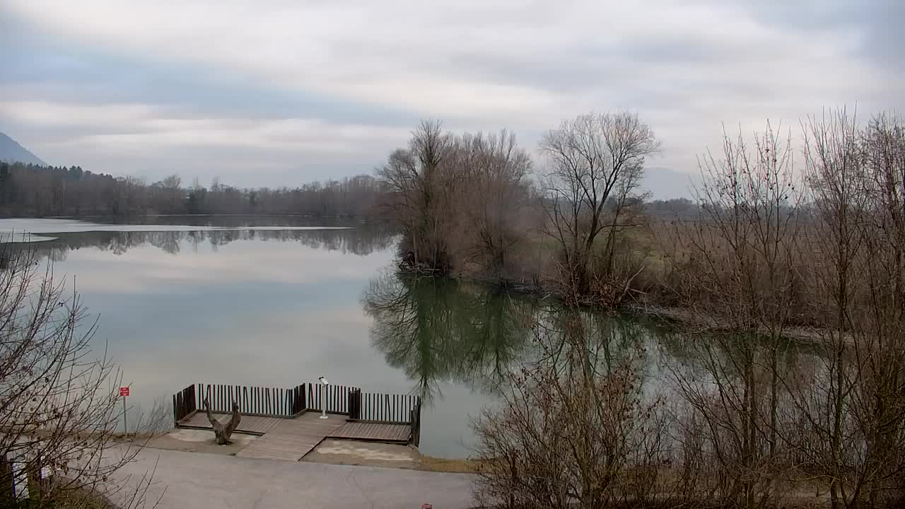 Webcam Ribnik Vrbje – Žalec