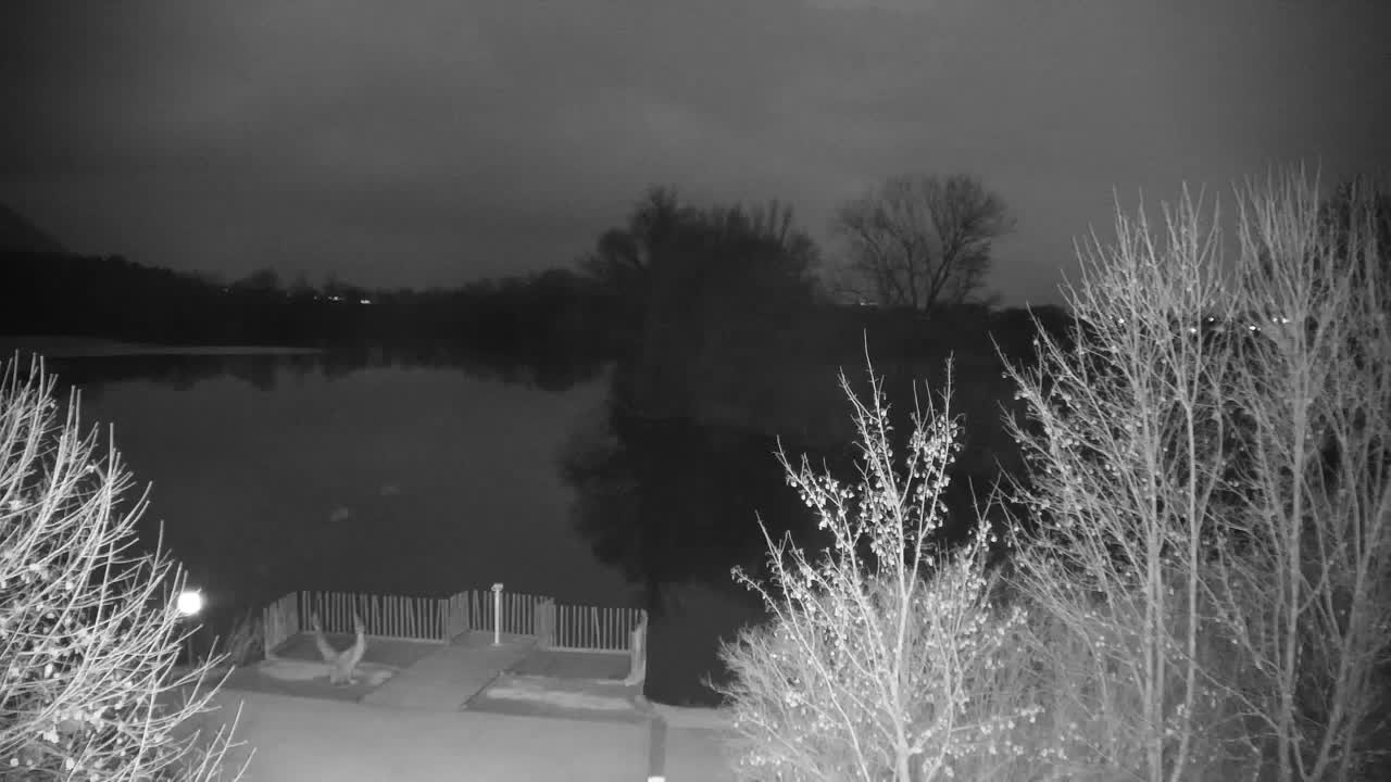 Webcam Ribnik Vrbje – Žalec