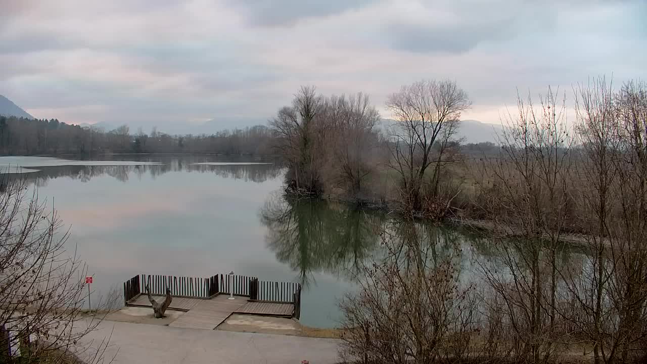 Webcam Ribnik Vrbje – Žalec