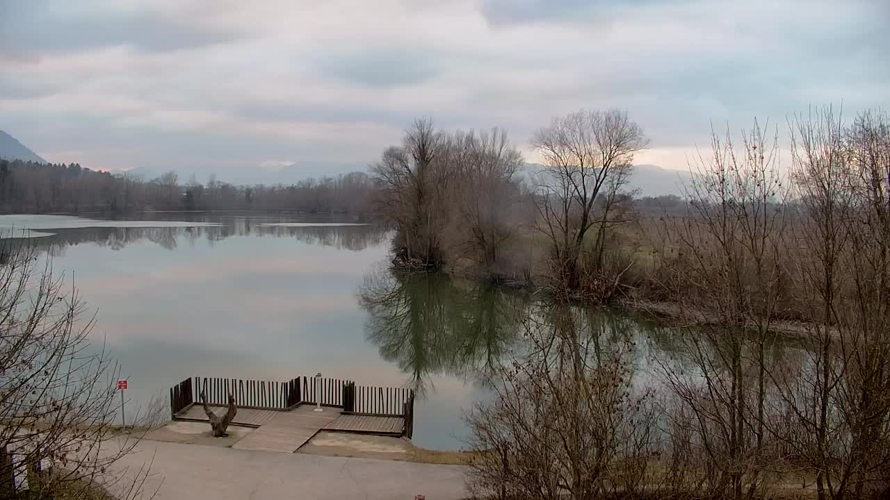 Webcam Ribnik Vrbje – Žalec