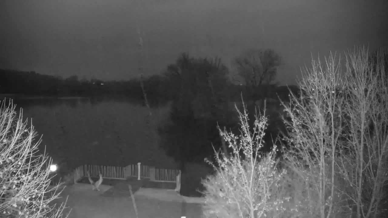 Webcam Ribnik Vrbje – Žalec