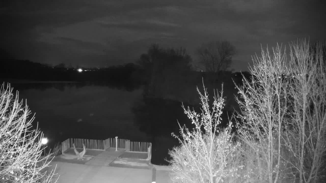 Webcam Ribnik Vrbje – Žalec