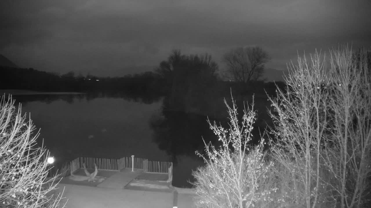 Webcam Ribnik Vrbje – Žalec