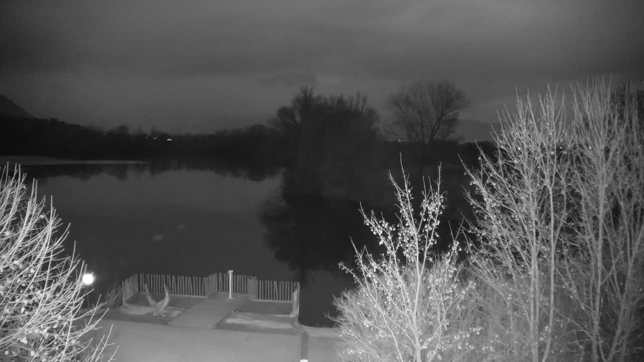 Webcam Ribnik Vrbje – Žalec