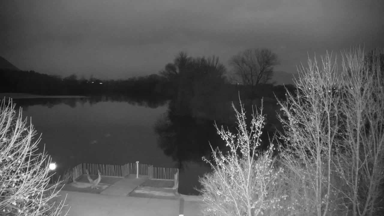 Webcam Ribnik Vrbje – Žalec