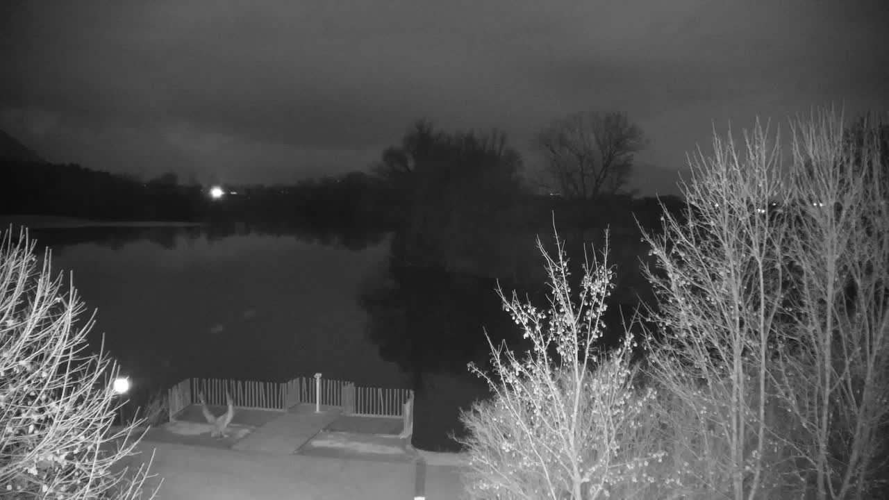 Webcam Ribnik Vrbje – Žalec