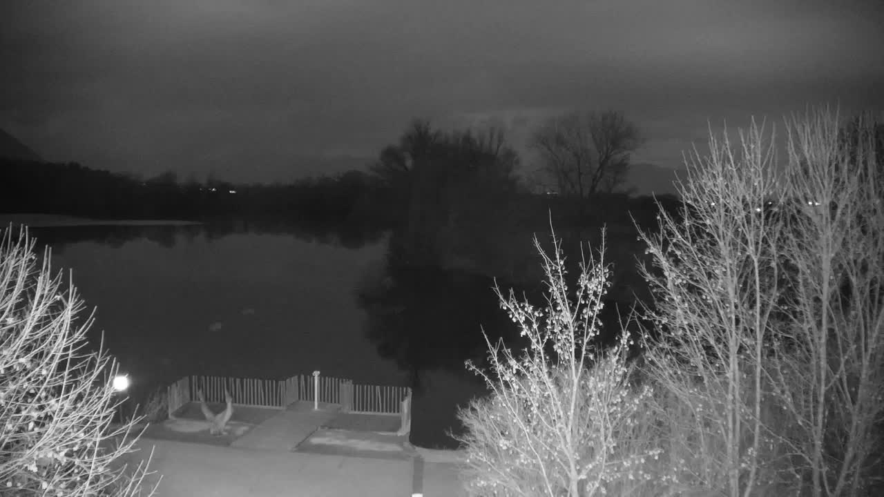 Webcam Ribnik Vrbje – Žalec