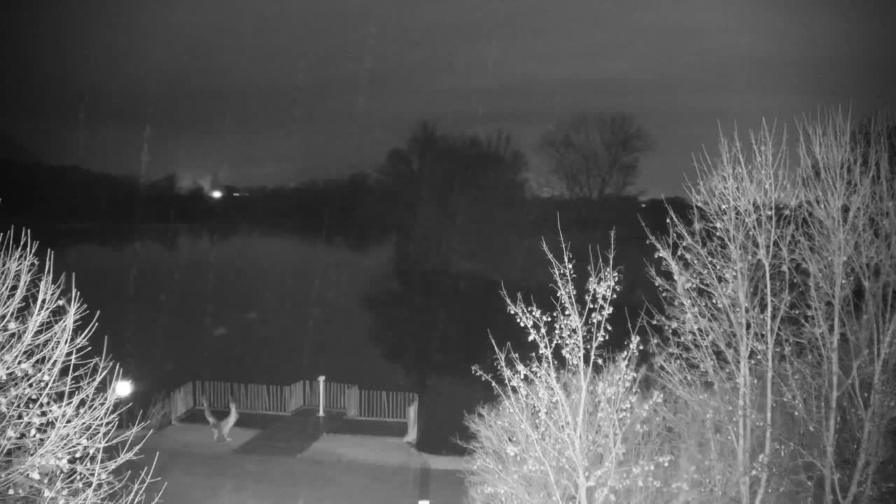 Spletna kamera Ribnik Vrbje – Žalec