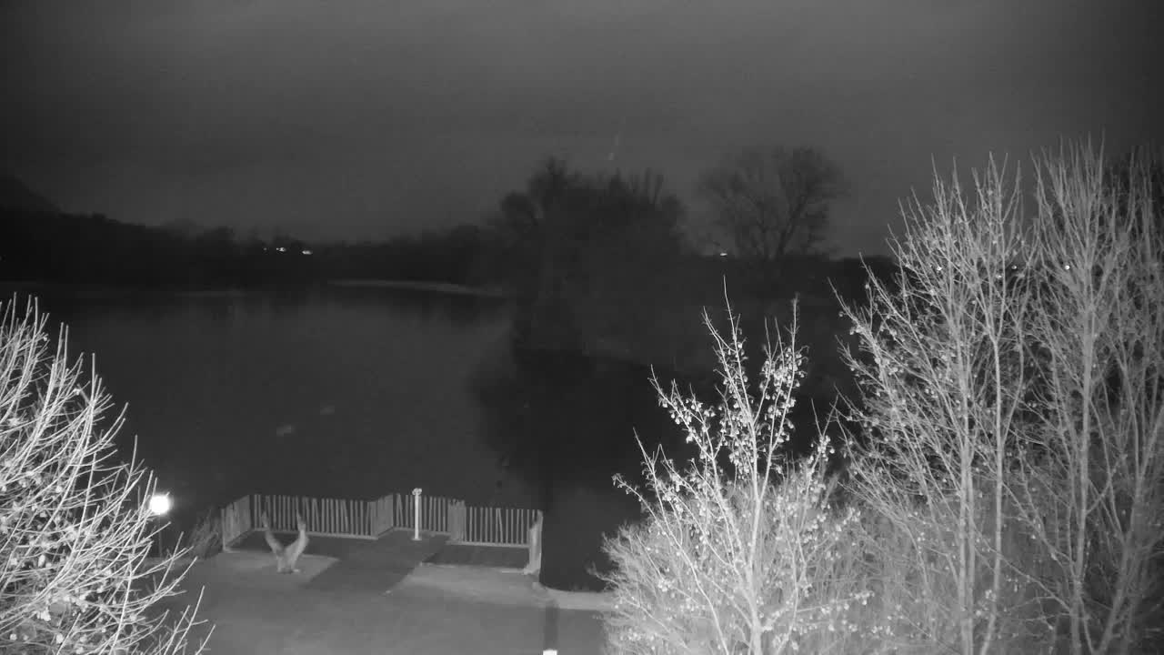 Webcam Ribnik Vrbje – Žalec