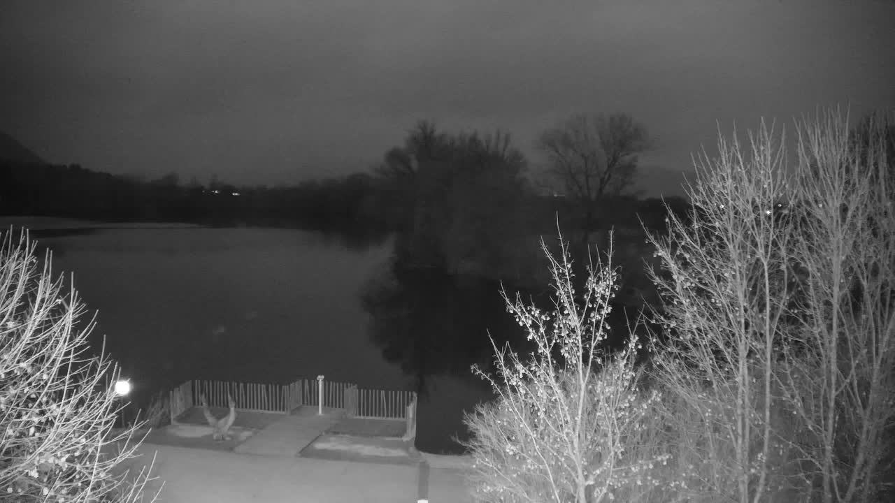 Webcam Ribnik Vrbje – Žalec