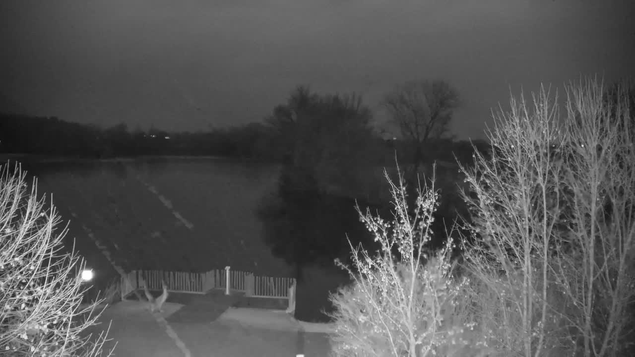 Webcam Ribnik Vrbje – Žalec