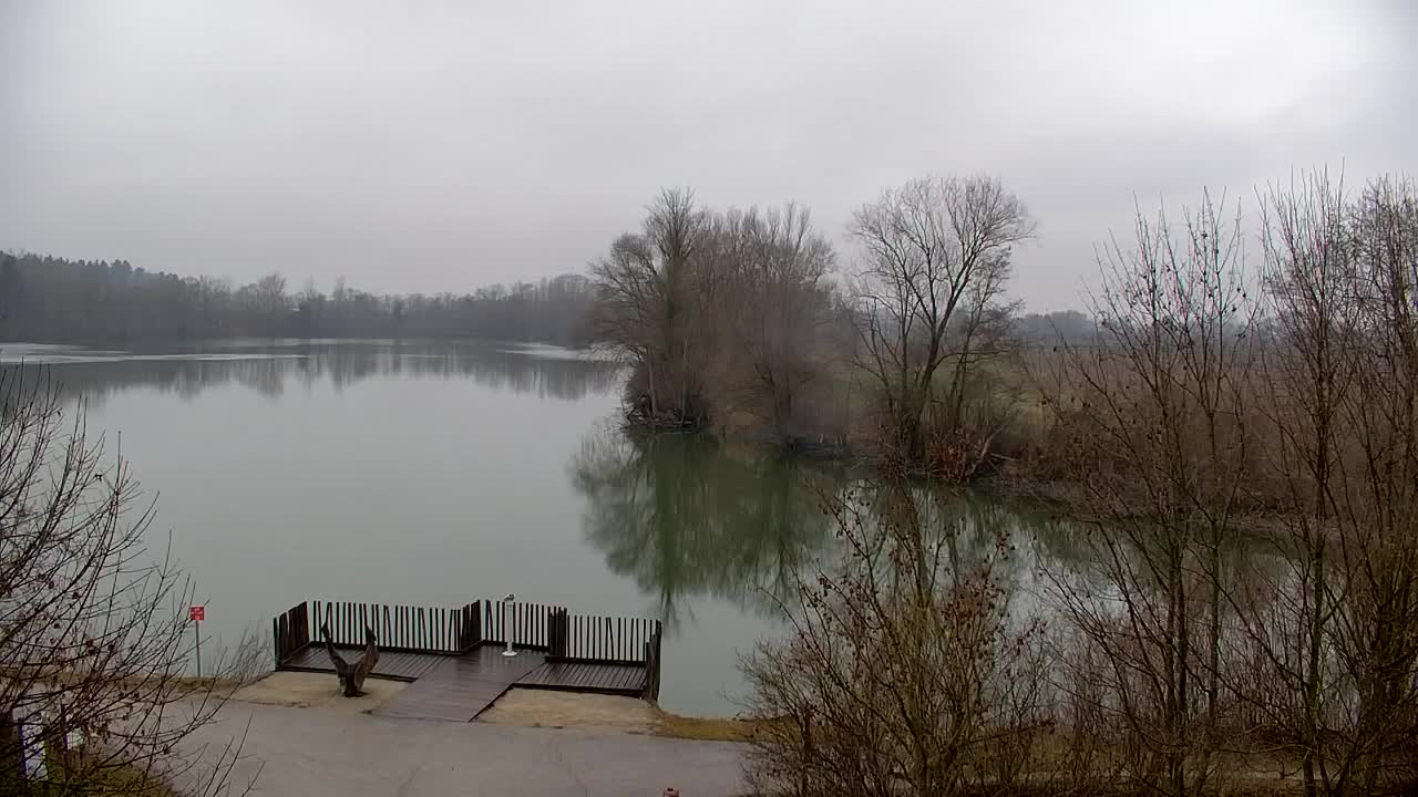 Webcam Ribnik Vrbje – Žalec