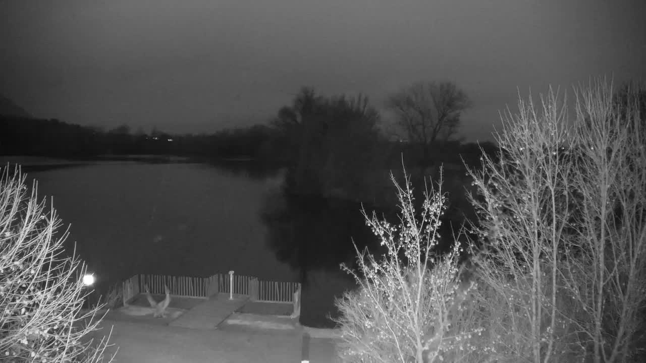 Webcam Ribnik Vrbje – Žalec