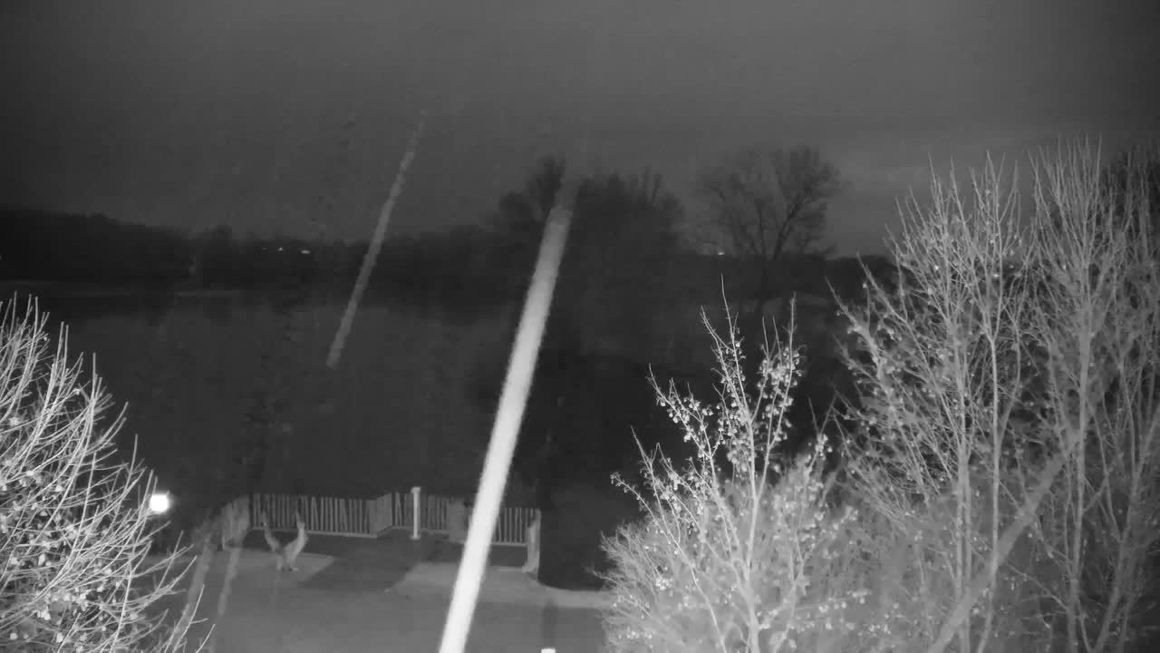 Webcam Ribnik Vrbje – Žalec