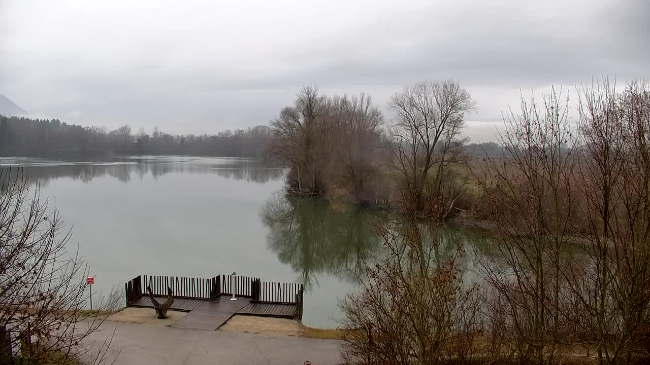 Webcam Ribnik Vrbje – Žalec