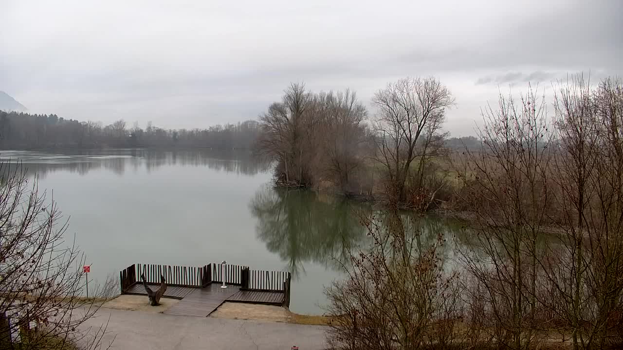 Webcam Ribnik Vrbje – Žalec