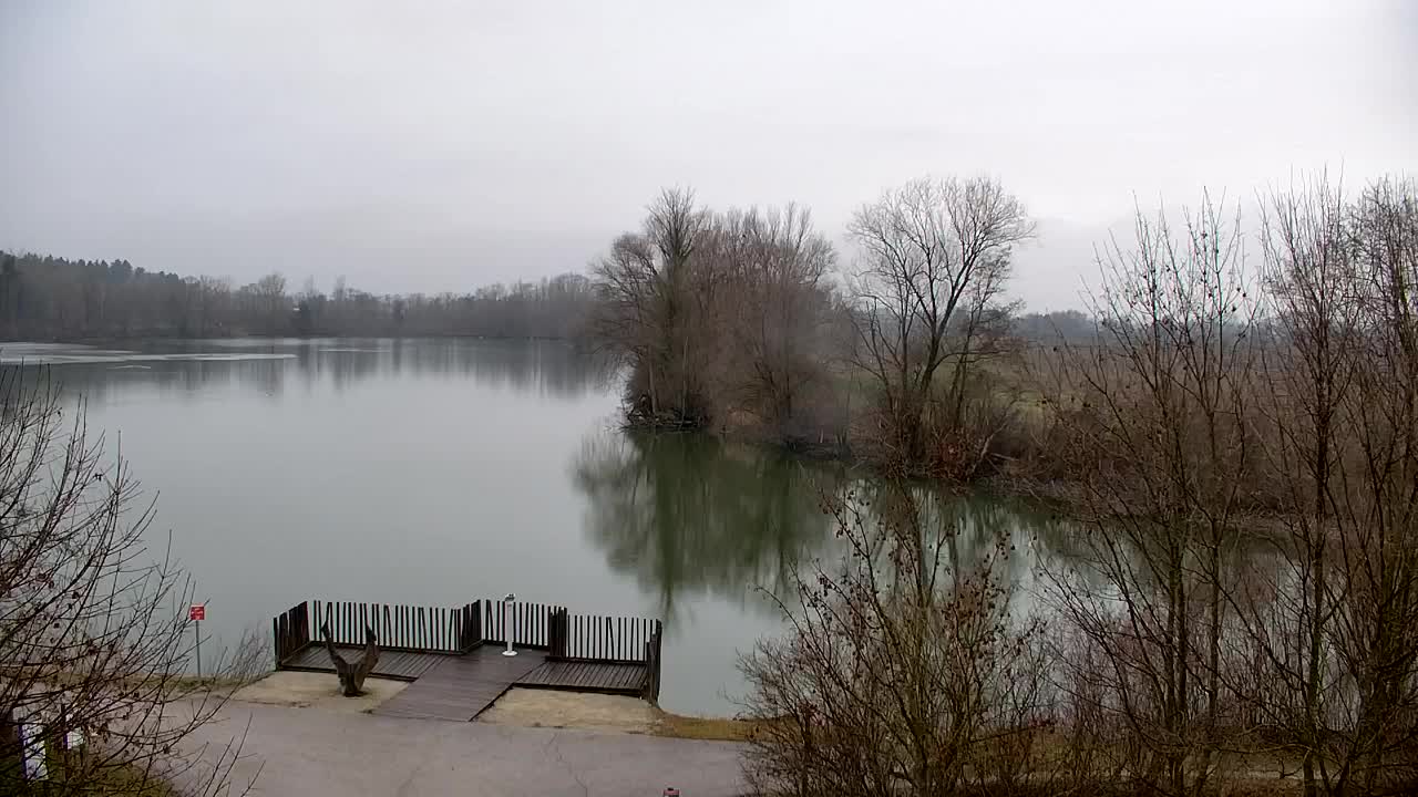 Webcam Ribnik Vrbje – Žalec