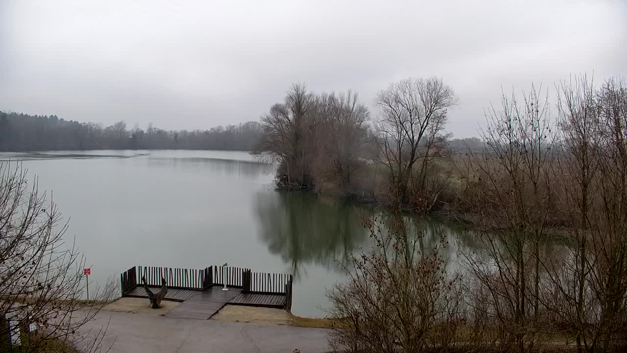 Webcam Ribnik Vrbje – Žalec