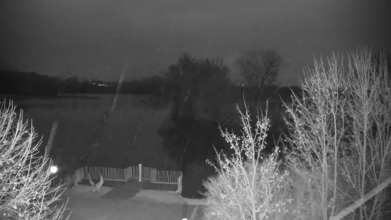 Webcam Ribnik Vrbje – Žalec