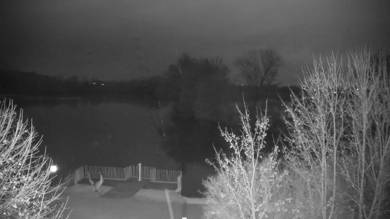 Webcam Ribnik Vrbje – Žalec