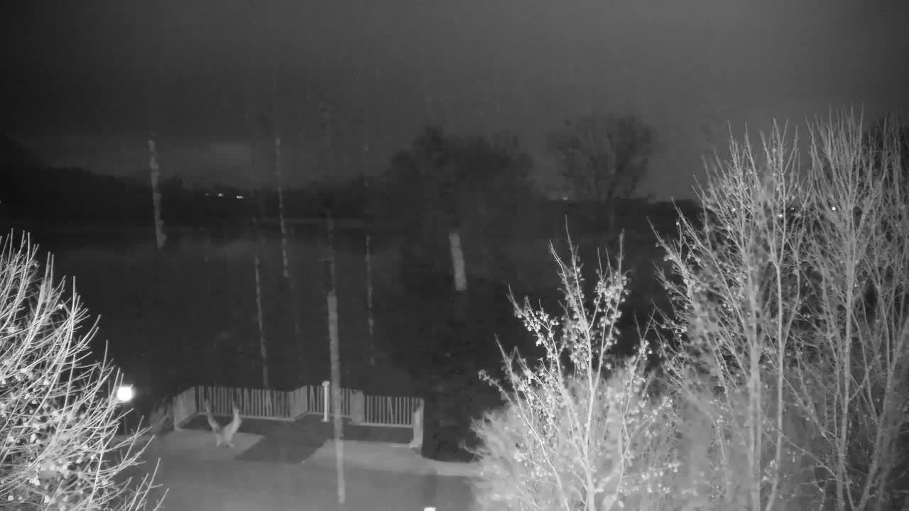 Webcam Ribnik Vrbje – Žalec