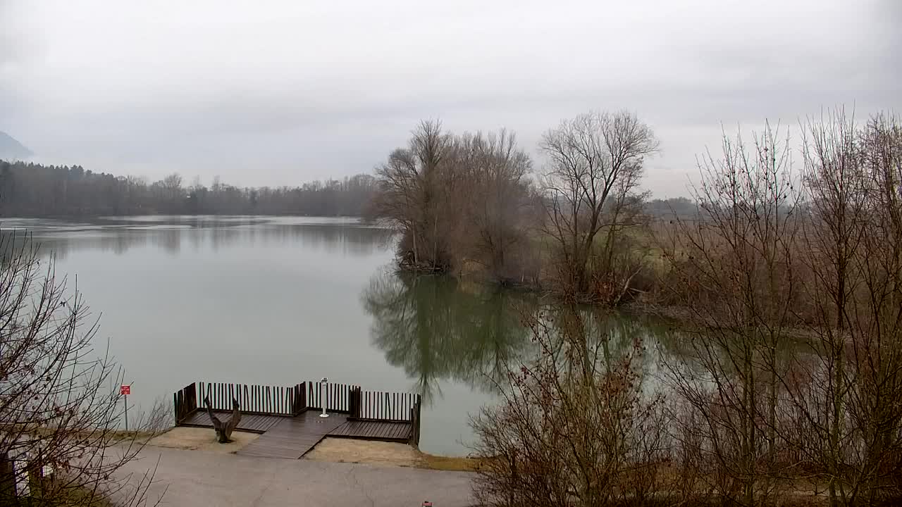 Webcam Ribnik Vrbje – Žalec