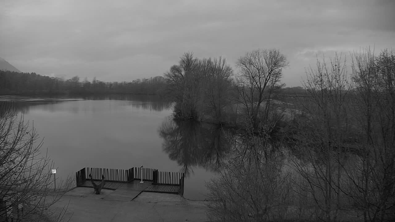 Webcam Ribnik Vrbje – Žalec