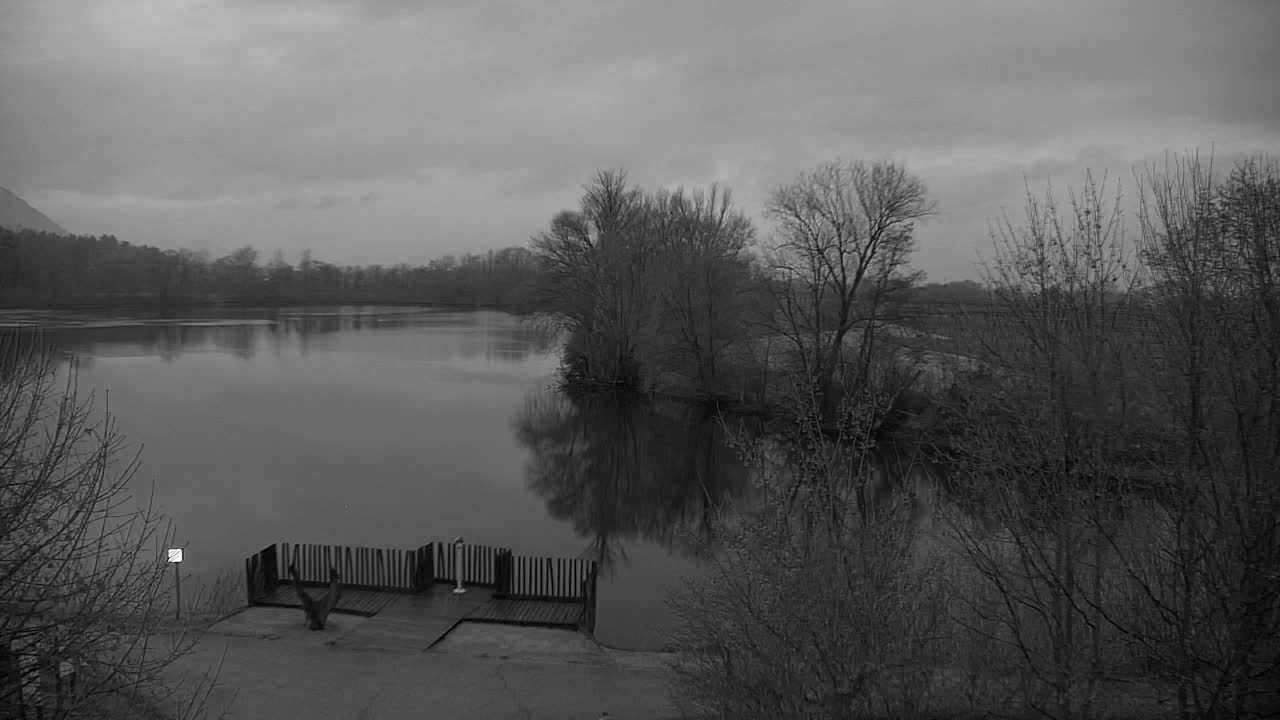 Web kamera Ribnik Vrbje – Žalec