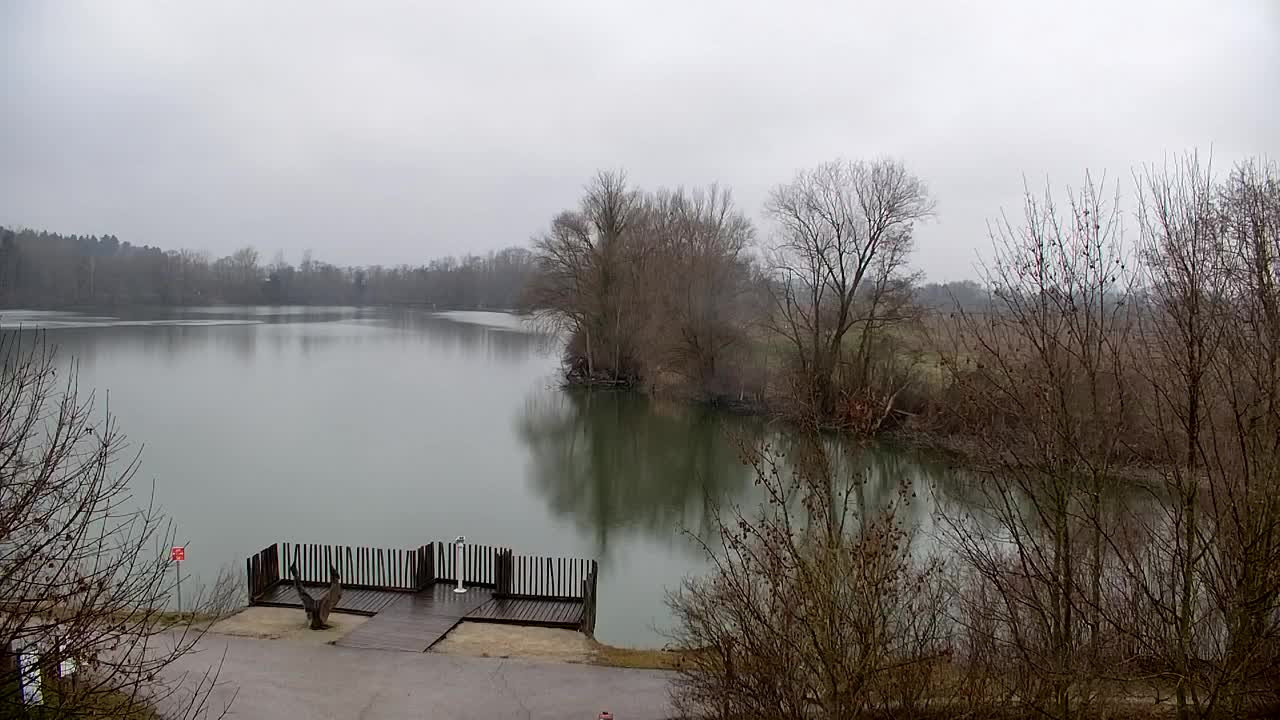 Webcam Ribnik Vrbje – Žalec