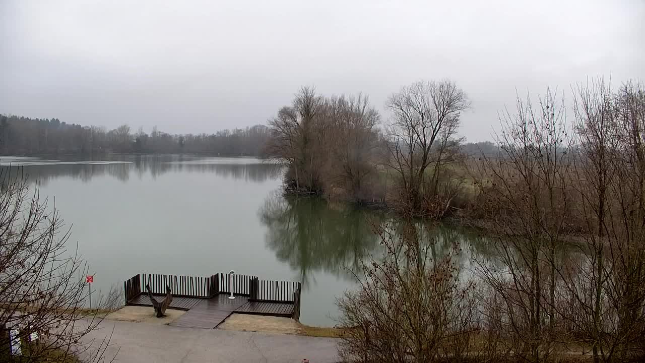 Webcam Ribnik Vrbje – Žalec