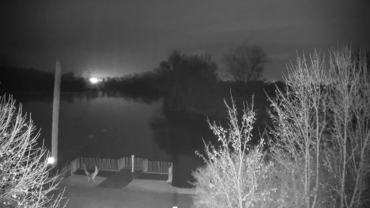 Webcam Ribnik Vrbje – Žalec