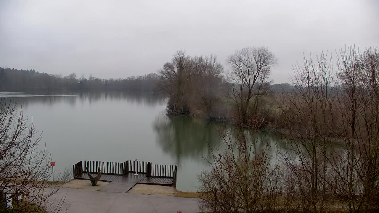 Webcam Ribnik Vrbje – Žalec