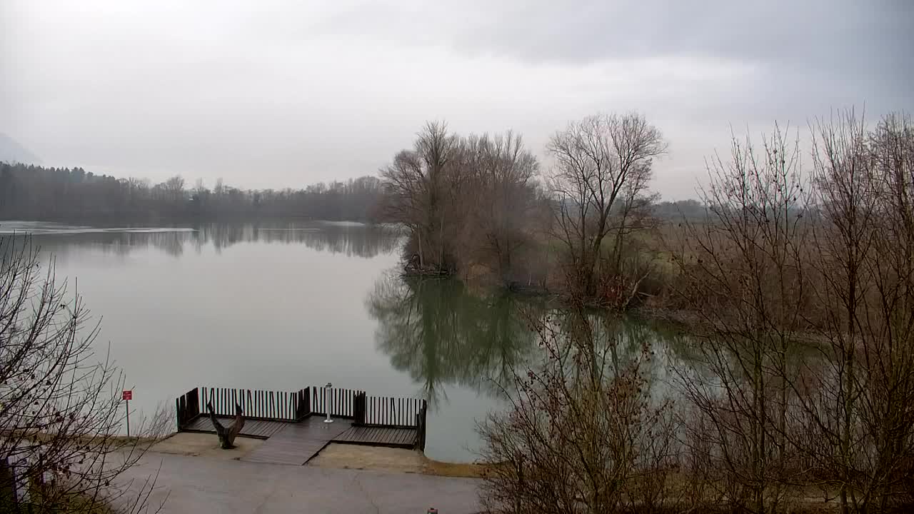 Webcam Ribnik Vrbje – Žalec